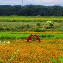 북부천변 이미지