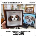 그미마당(keumimadang) | 대구 원데이 클래스 후기 [ 그미마당 ] 대구 강아지 수제 간식 전문점에서 강아지 양모 펠트 만들기