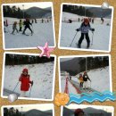 용인대석사체육관 이미지