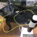 에이플러스과학나라 이미지