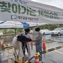 대덕승마장