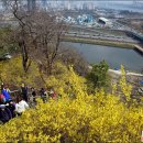 응봉공원4 이미지