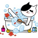 팔달삼성공인중개사사무소 이미지