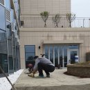 세종시 교육지원 업무센터 규사포장시공 칼라규사포장 이미지