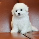 오케이히얼