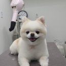 무브멍트 네이버블로그