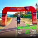2025 대전 저스트런텐 JUST RUN10 마라톤 완주 리뷰