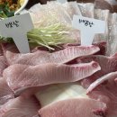 [부산] 특대방어와 이시가리를 한번에 맛볼수 있는 용호동맛집 광광수산횟집