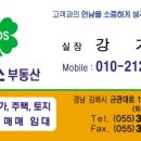 달리는 꼬꼬 이미지