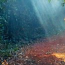 회자정리(會者定離) 이미지