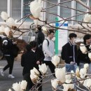 대학기획