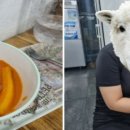 피자스쿨구산역점 이미지