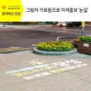 장성군청 광장 이미지