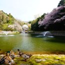 큰나무요양병원 이미지