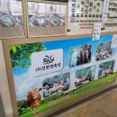 한우 한마리 설렁탕 이미지
