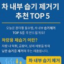차 내부 습기 제거기 추천 TOP 5 -완벽가이드 (2025)