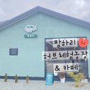 하리 농장 | [청도]팜하리 허브체험농장 내돈내산 리뷰