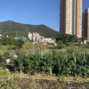 거제중앙중학교 이미지