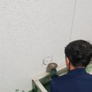 삼호부화장 이미지