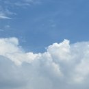 흥국생명 | 흥국생명 핑크스파이더스 팬미팅 후기 + 신인감독 김연경 🥺