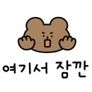 와니펫싸롱 이미지