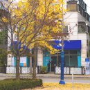 종달새체육관 이미지