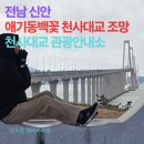 천사대교 관광안내소 | 신안 여행의 첫 관문! 천사대교 관광안내소에서 바라보는 2020년 올해의 토목구조물 대상 수상작 사장교...