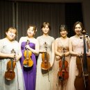 현악 앙상블(바이올린) 이미지