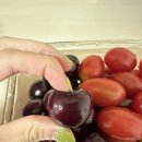 주식회사 상상공장 이미지