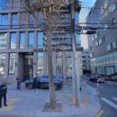 플러스나무치과의원 | [강남 임플란트 치과/추천/후기] 메르덴플러스치과의원 실제 경험으로 본 세심한 진료
