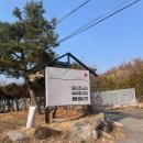 틈바구니(친구네 펜션) | 가평숙소 가평 애견동반 풀빌라 펜션 후기🌊, 강아지와 여행하기 좋은 숙소🐶'임초리부뚜막 풀빌라' 201호...