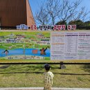 주차06 | 2025 공주 석장리 구석기축제 주차 유모차 체험 후기
