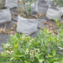 복이네 농장 이미지