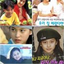 미모종결 이미지