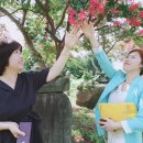 대가야고등학교 이미지