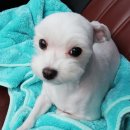 다루동물병원 이미지