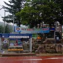 영춘이용소 티스토리