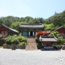 도림사 Daum카페