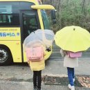 벧엘꽃농원 이미지