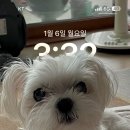 없음 이미지