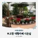 고창타조농장 이미지