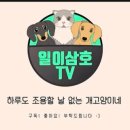 일이삼호
