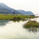 난정리(해바라기정원) 이미지