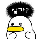 베가팰리스 이미지
