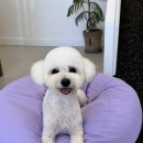 그루밍 모먼트 이미지