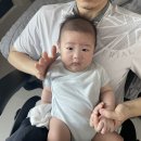 24년 6월 셋째주, 3개월 아기와 육아 일상 (가전 탐색, 아기 수영)