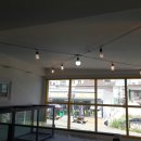 하이펫 애견샵 이미지