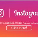 도그스토리 이미지