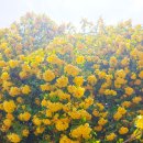 감로한의원 이미지