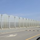 주상농장 이미지